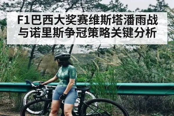 F1巴西大奖赛维斯塔潘雨战与诺里斯争冠策略关键分析